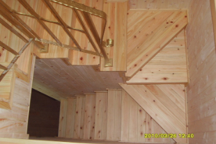 SDC10736_sss850401.jfif